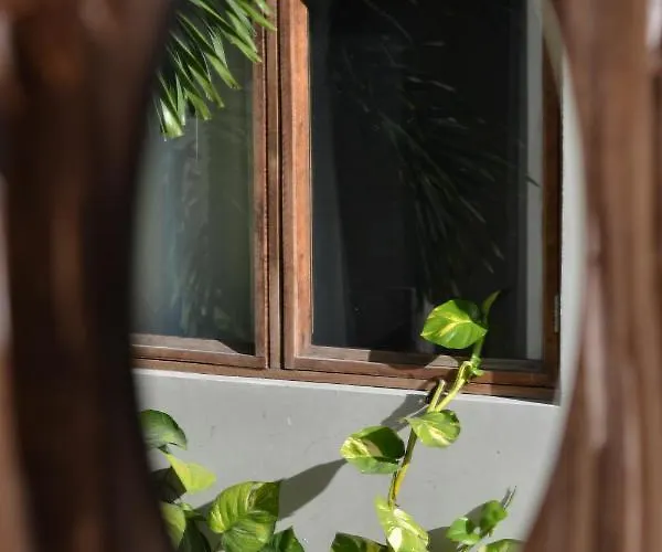Doña Lucha Hostal *