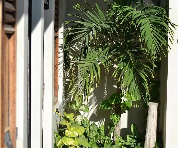 Doña Lucha Hostal Tulum