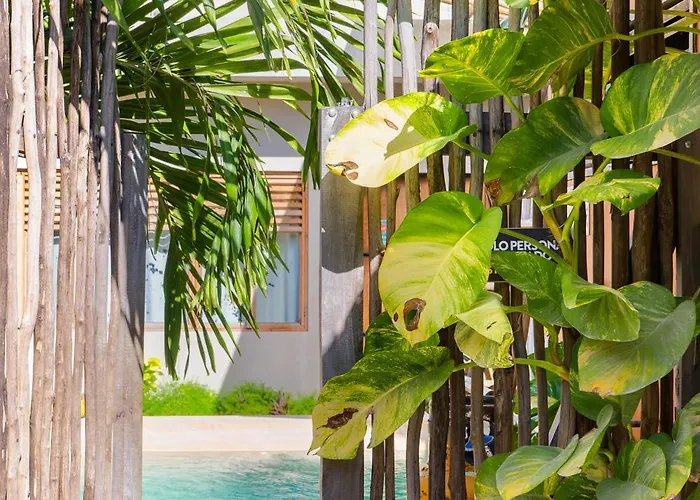 Doña Lucha Hostal Tulum